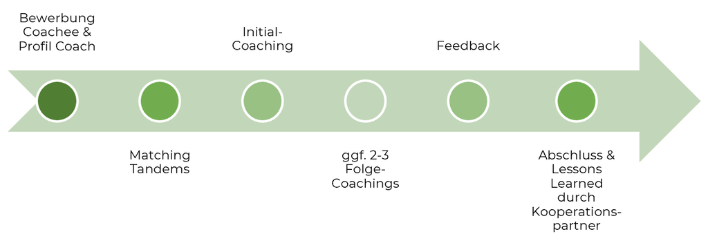 Ablaufpfeil des Coaching-Programms: Bewerbung, Matching der Tandems, Initial-Coaching, Folge-Coachings, Feedback, Abschluss